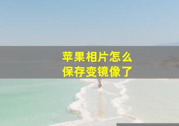 苹果相片怎么保存变镜像了