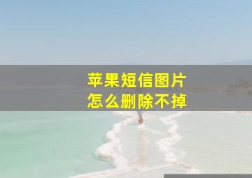 苹果短信图片怎么删除不掉