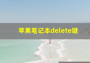 苹果笔记本delete键