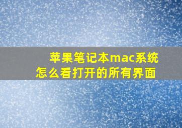 苹果笔记本mac系统怎么看打开的所有界面