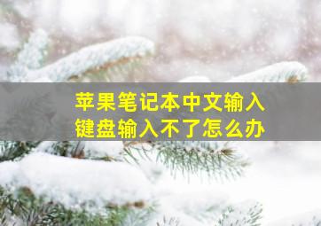 苹果笔记本中文输入键盘输入不了怎么办