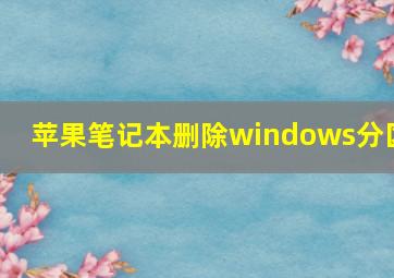 苹果笔记本删除windows分区