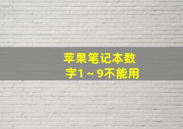 苹果笔记本数字1～9不能用