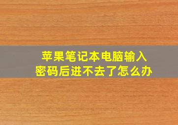 苹果笔记本电脑输入密码后进不去了怎么办