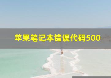 苹果笔记本错误代码500