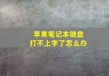 苹果笔记本键盘打不上字了怎么办