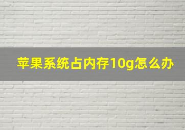 苹果系统占内存10g怎么办