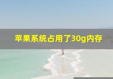 苹果系统占用了30g内存