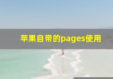 苹果自带的pages使用