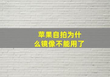 苹果自拍为什么镜像不能用了