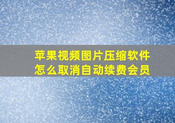 苹果视频图片压缩软件怎么取消自动续费会员