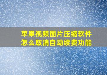 苹果视频图片压缩软件怎么取消自动续费功能