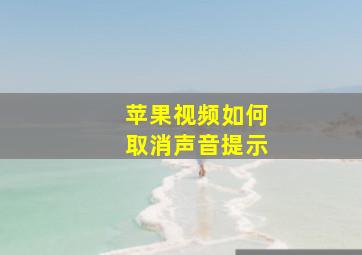 苹果视频如何取消声音提示