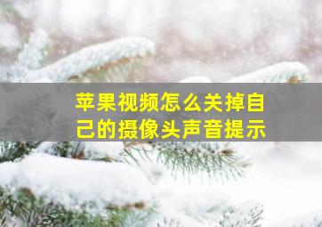 苹果视频怎么关掉自己的摄像头声音提示