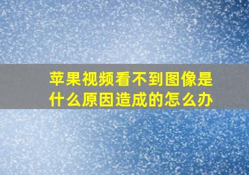 苹果视频看不到图像是什么原因造成的怎么办