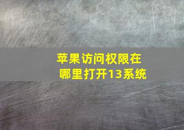 苹果访问权限在哪里打开13系统