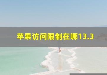 苹果访问限制在哪13.3