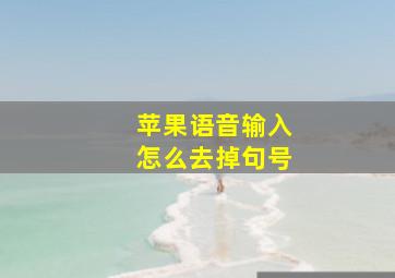 苹果语音输入怎么去掉句号