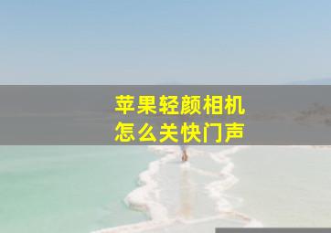 苹果轻颜相机怎么关快门声