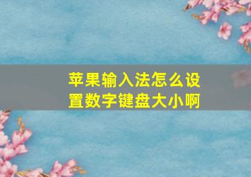 苹果输入法怎么设置数字键盘大小啊