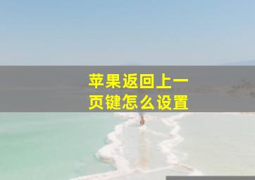 苹果返回上一页键怎么设置