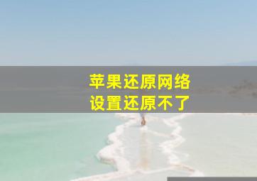 苹果还原网络设置还原不了