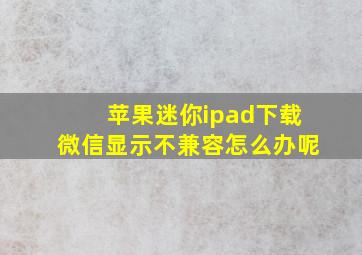 苹果迷你ipad下载微信显示不兼容怎么办呢