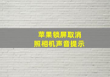 苹果锁屏取消照相机声音提示