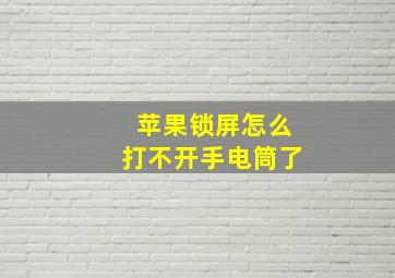 苹果锁屏怎么打不开手电筒了