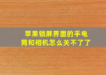 苹果锁屏界面的手电筒和相机怎么关不了了