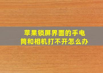 苹果锁屏界面的手电筒和相机打不开怎么办