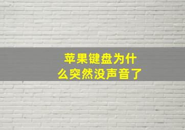 苹果键盘为什么突然没声音了