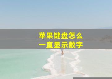 苹果键盘怎么一直显示数字