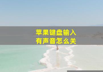 苹果键盘输入有声音怎么关