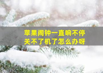 苹果闹钟一直响不停关不了机了怎么办呀