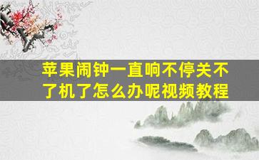 苹果闹钟一直响不停关不了机了怎么办呢视频教程