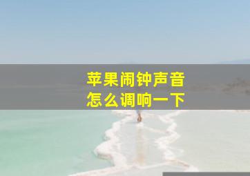 苹果闹钟声音怎么调响一下