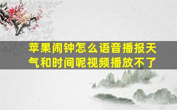 苹果闹钟怎么语音播报天气和时间呢视频播放不了