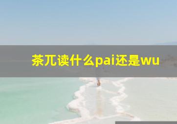 茶兀读什么pai还是wu