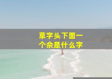 草字头下面一个佘是什么字