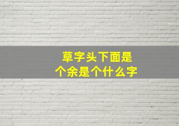 草字头下面是个余是个什么字