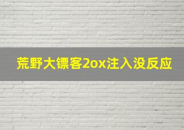 荒野大镖客2ox注入没反应