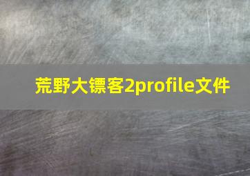 荒野大镖客2profile文件