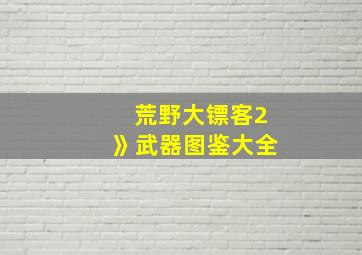 荒野大镖客2》武器图鉴大全