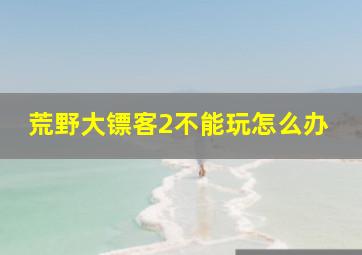 荒野大镖客2不能玩怎么办