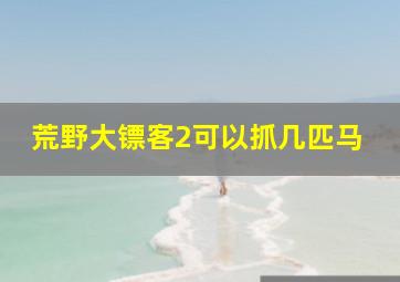 荒野大镖客2可以抓几匹马