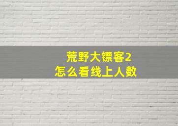 荒野大镖客2怎么看线上人数