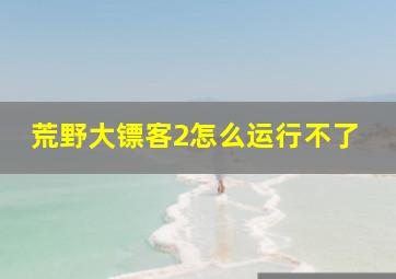 荒野大镖客2怎么运行不了