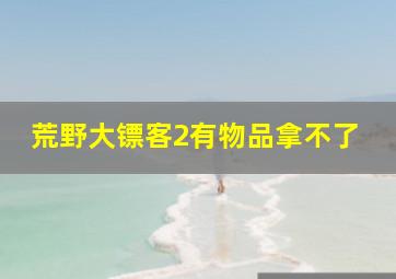 荒野大镖客2有物品拿不了