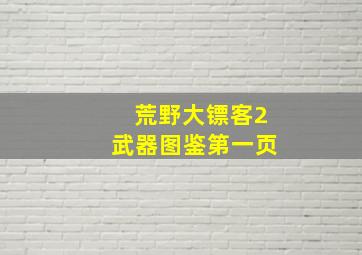 荒野大镖客2武器图鉴第一页